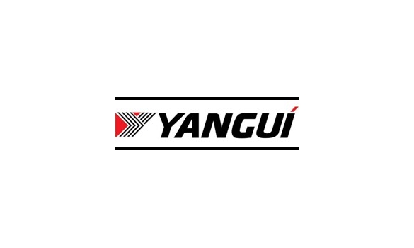 Yanguí