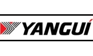 Yanguí